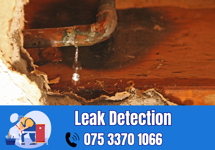 leak detection Whitstable